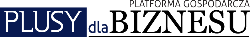 Platforma Gospodarcza Plusy Dla Biznesu