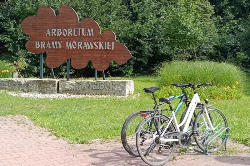 zdjęcie wyróżniające Rower jako styl życia. 41% Polaków nie zamierza z niego rezygnować