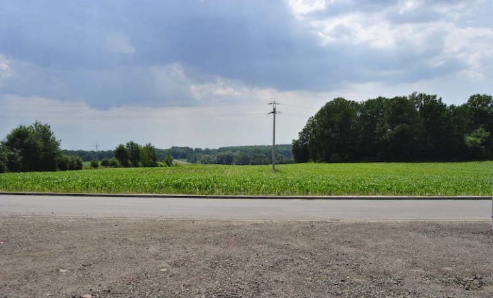 Cztery działki w strefie na Olszynach sprzedane - będą nowe inwestycje w Wodzisławiu Śląskim?