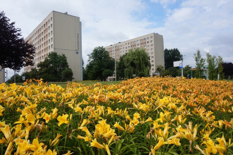 Jastrzębie-Zdrój promuje zdrowy styl życia i dba o środowisko