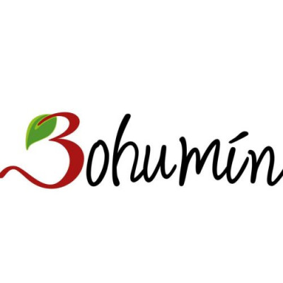 logo Urząd Miejski w Boguminie